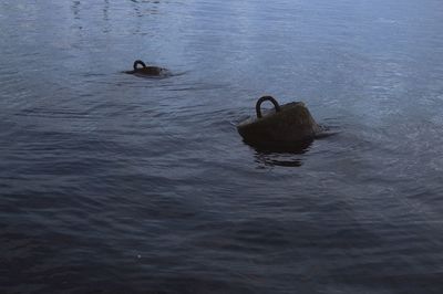 High angle view of ducks swimming in lake