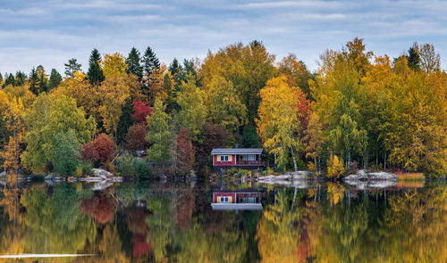 Scenic view of lake by trees during autumn