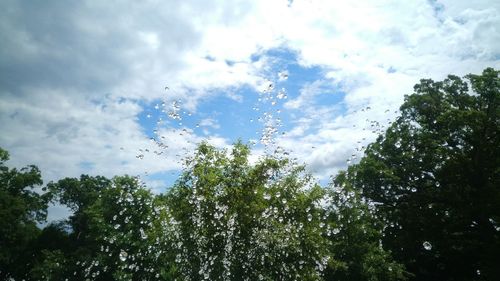 Low angle view of trees against cloudy sky