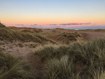 Grass growing at beach against sky during sunset