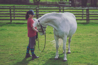 Full length of a horse standing on field