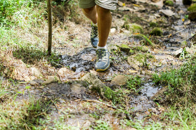 Low section of man walking in forest