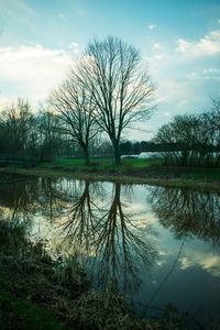 Bare tree by lake against sky