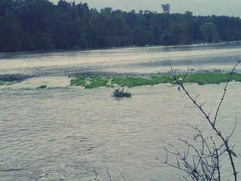 Scenic view of lake