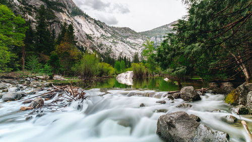 Scenic view of stream flowing through rocks in forest