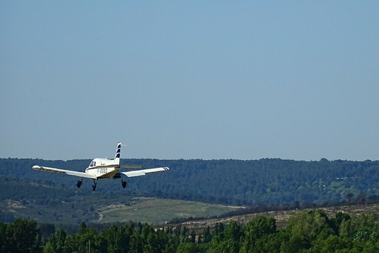 BIRD FLYING OVER FARM AGAINST CLEAR SKY