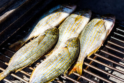 Close-up of fishes on barbecue grill