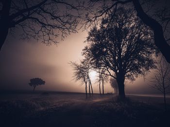 Silhouette bare tree on field against sky during foggy weather