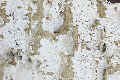 Full frame shot of weathered wall