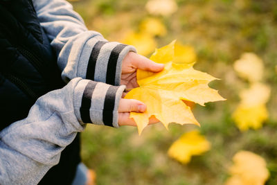 Midsection of man holding autumn leaf