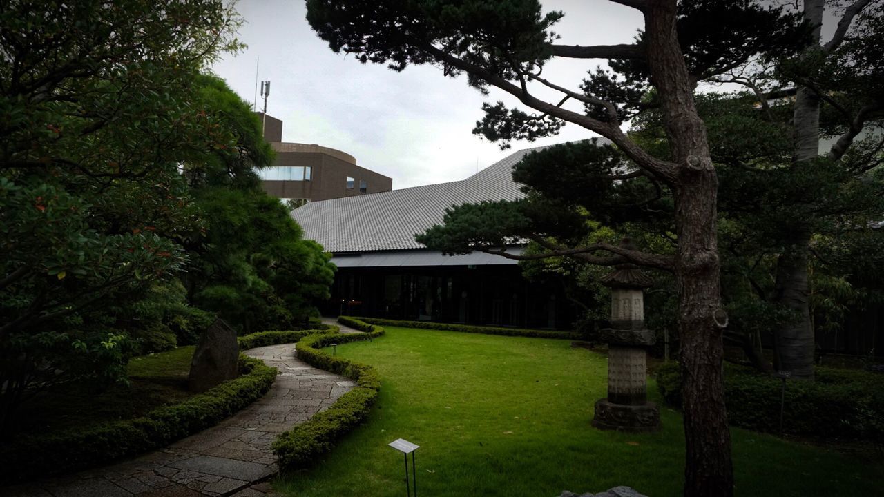 tree, built structure, architecture, building exterior, growth, branch, plant, lawn, sky, outdoors, no people, day, narrow, footpath, in front of, rooftop, outside, backyard, freshness, growing, cloud - sky, the way forward, green color