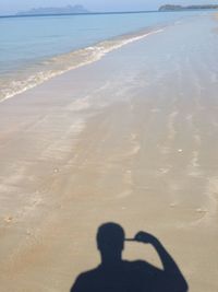 Scenic view of beach