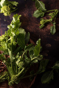 High angle view of green leaves on table