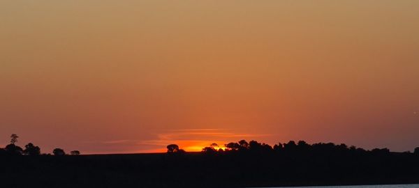 Silhouette trees on landscape against orange sky