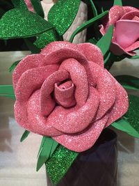 Close-up of wet pink rose flower
