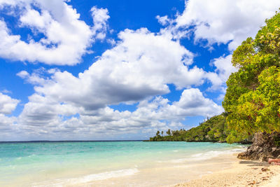 Scenic view of beach against sky