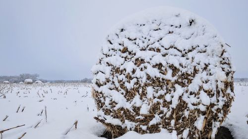 Snow covered hay bale on field against sky