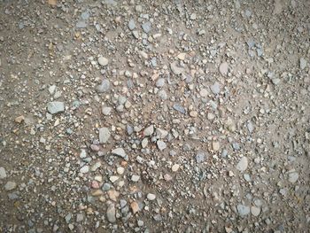 Full frame shot of pebbles on beach