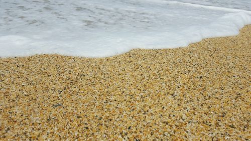 Scenic view of beach