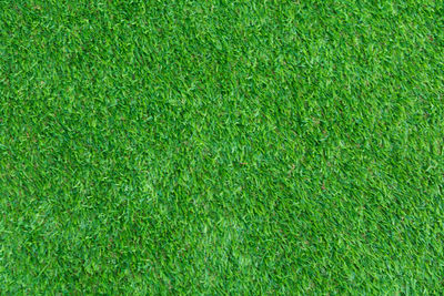 Full frame shot of green field