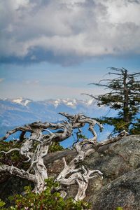 Scenic view of mountains against cloudy sky