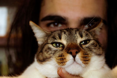 Close-up portrait of cat