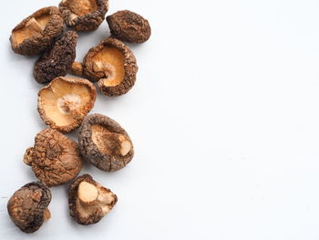 High angle view of cookies against white background