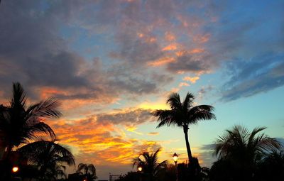 Silhouette of palm trees against cloudy sky