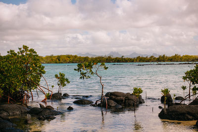 Scenic view of sea against sky