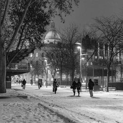Woman standing in park