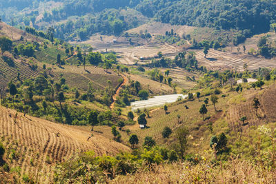 Farmland in the valley mae tho national park, chiang mai, thailand
