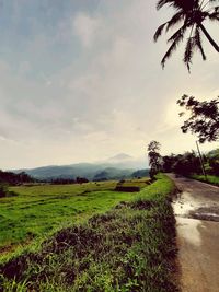 Scenic view of field against sky