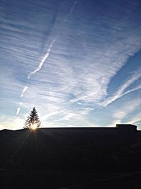 Low angle view of trees against blue sky