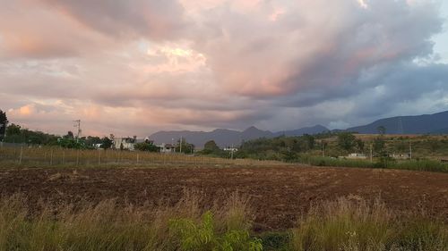 Scenic view of field against sky during sunset