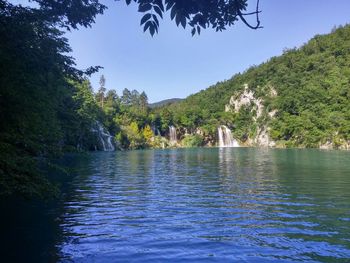 Scenic view of lake with trees in background