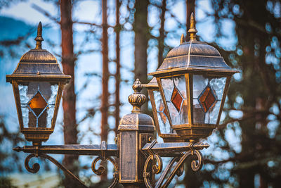 Low angle view of lanterns hanging on tree