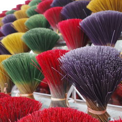 Full frame shot of plants