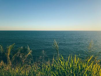 Scenic view of sea against clear sky