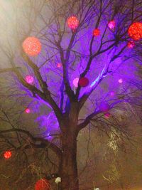 Low angle view of illuminated christmas tree