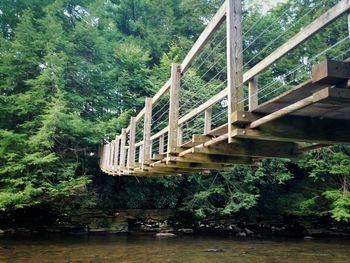 Footbridge over river in forest