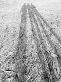 High angle view of tire tracks on snow