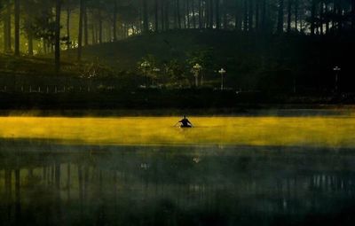 Bird in a lake