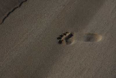 High angle view of footprints on sand at beach