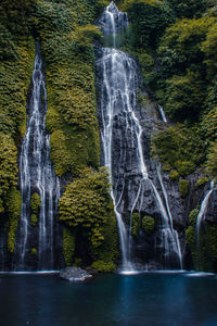 Scenic view of waterfall in forest