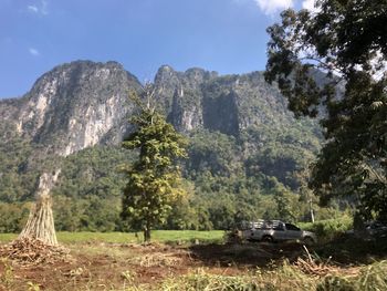 Trees on field by mountains against sky