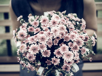 Close-up of pink flowering plant