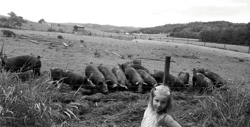 Sheep on field against sky