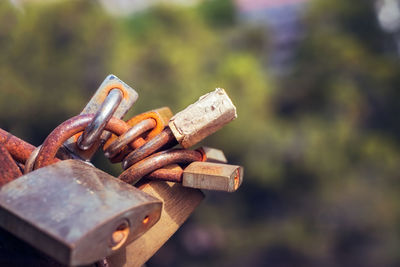 Close-up of rusty padlocks