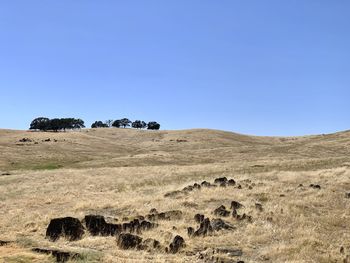 Scenic view of land against clear blue sky