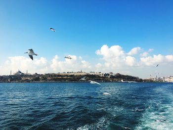 Birds flying over sea against sky